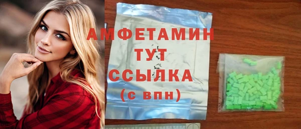 трава Коряжма