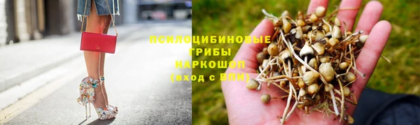 МДПВ Костерёво