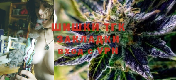 трава Коряжма