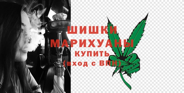 трава Коряжма