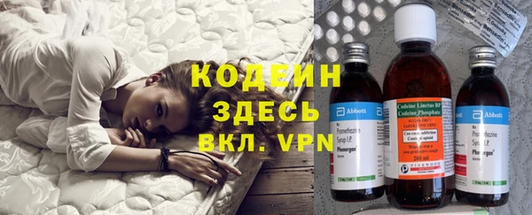 трава Коряжма