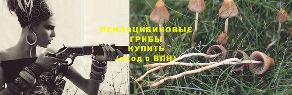 трава Коряжма