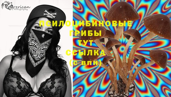 альфа пвп Корсаков