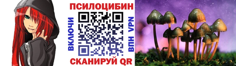 Псилоцибиновые грибы Psilocybine cubensis  Купить где  Новая Усмань 